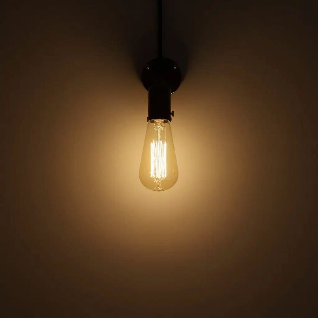 a photo of a vintage-style light fixture illuminating the space