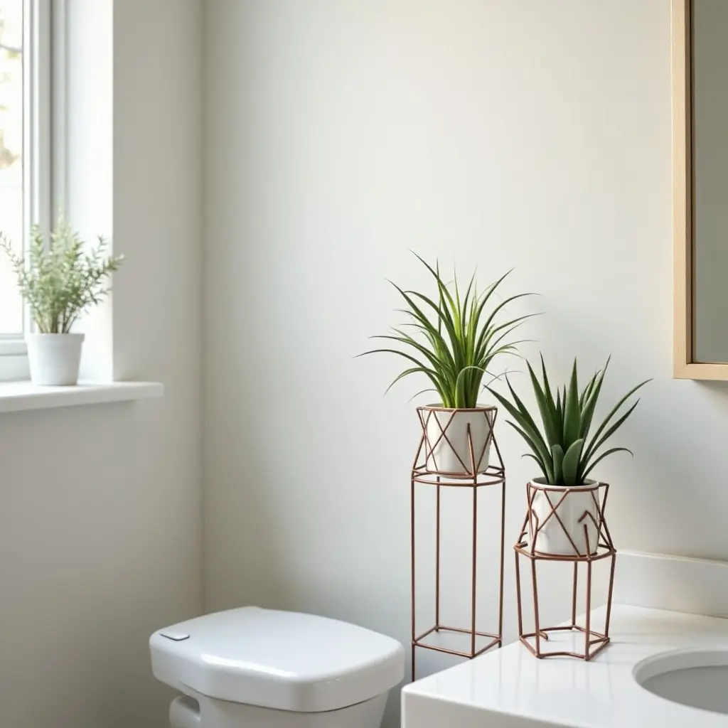 a photo of a small bathroom with air plants in geometric holders
